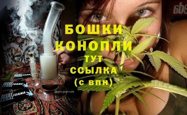 apvp Коряжма